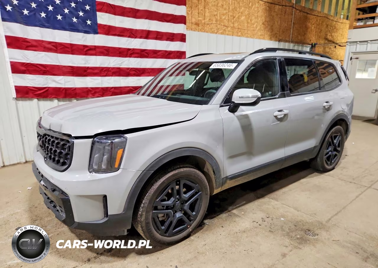2025 Kia Telluride Sx X-Line VIN:5XYP5DGC5SG732208 - 1