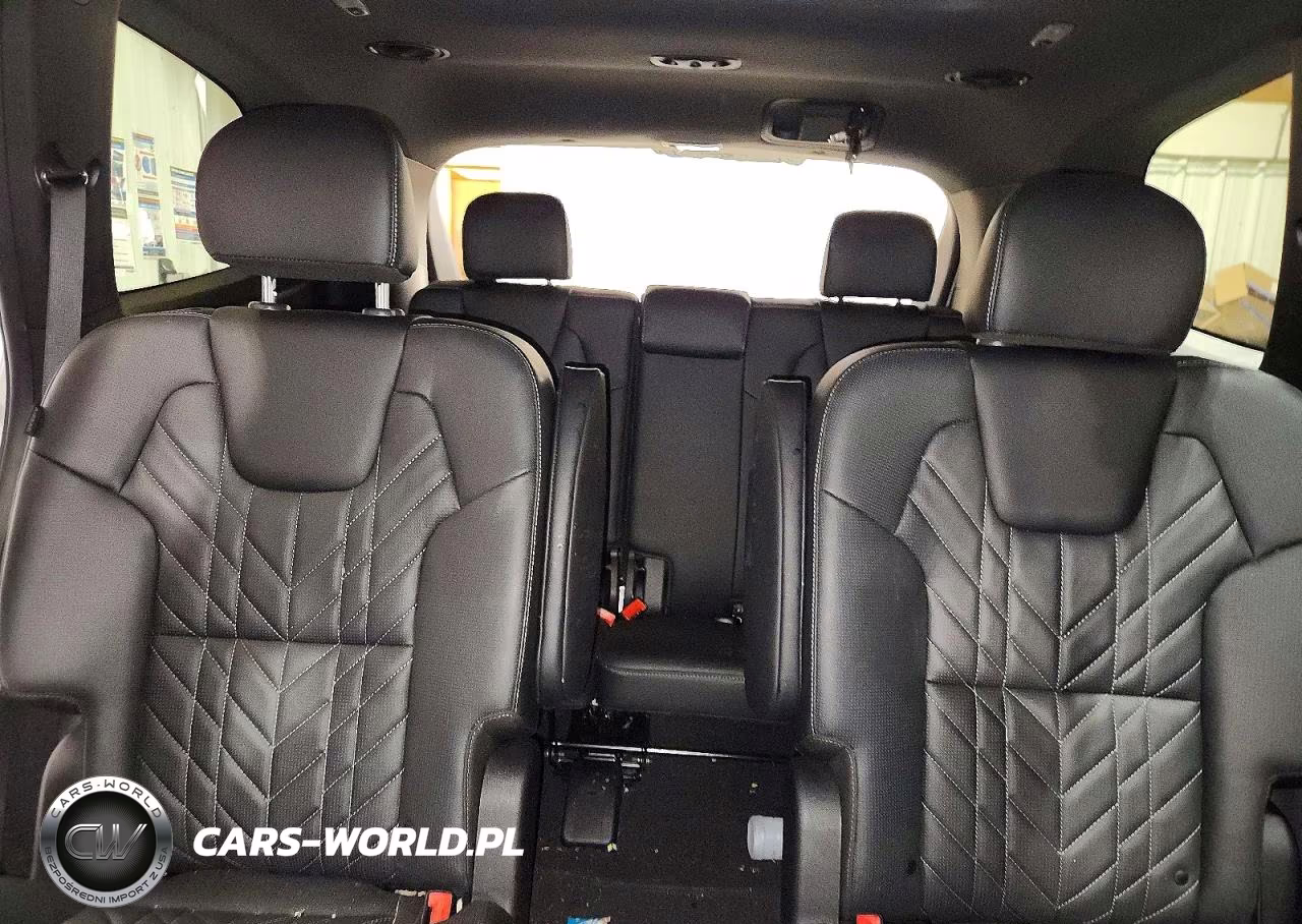 2025 Kia Telluride Sx X-Line VIN:5XYP5DGC5SG732208 - 10