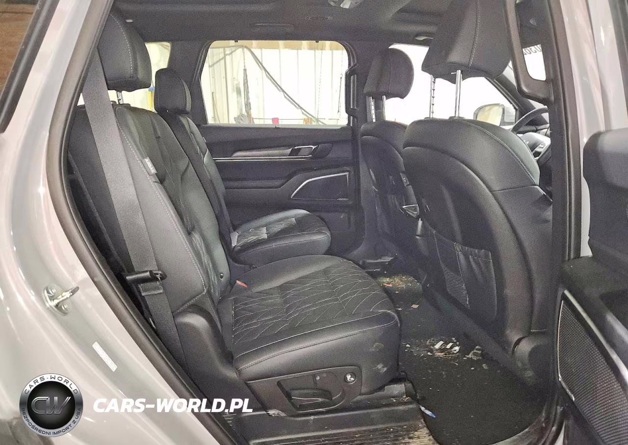 2025 Kia Telluride Sx X-Line VIN:5XYP5DGC5SG732208 - 11