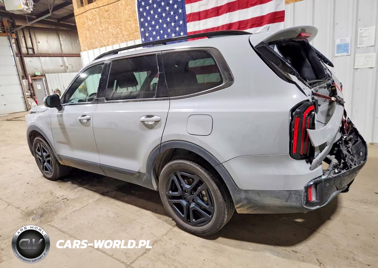 2025 Kia Telluride Sx X-Line VIN:5XYP5DGC5SG732208 - 2