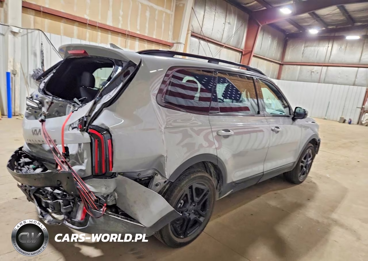 2025 Kia Telluride Sx X-Line VIN:5XYP5DGC5SG732208 - 3