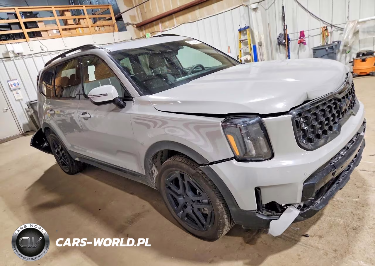 2025 Kia Telluride Sx X-Line VIN:5XYP5DGC5SG732208 - 4