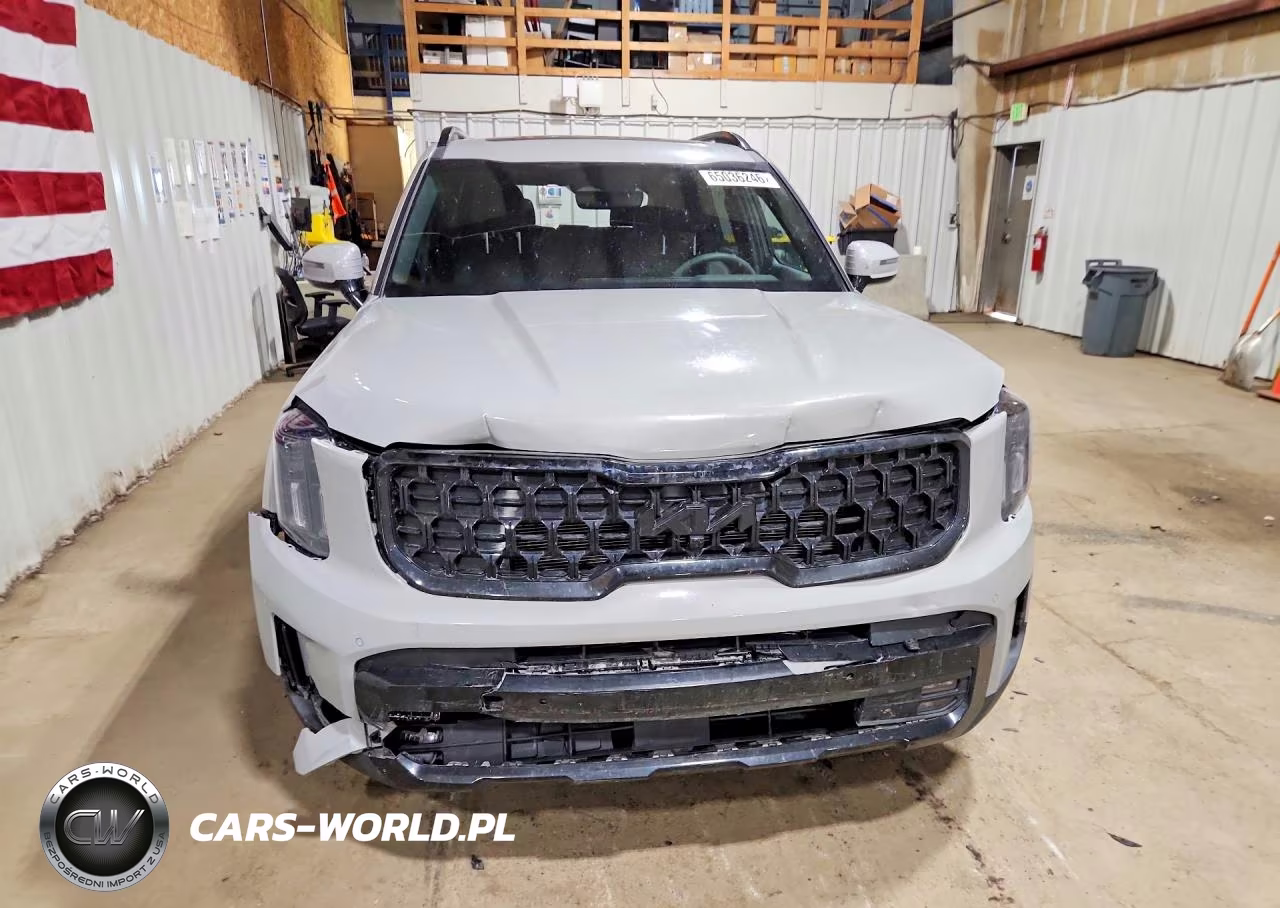 2025 Kia Telluride Sx X-Line VIN:5XYP5DGC5SG732208 - 5