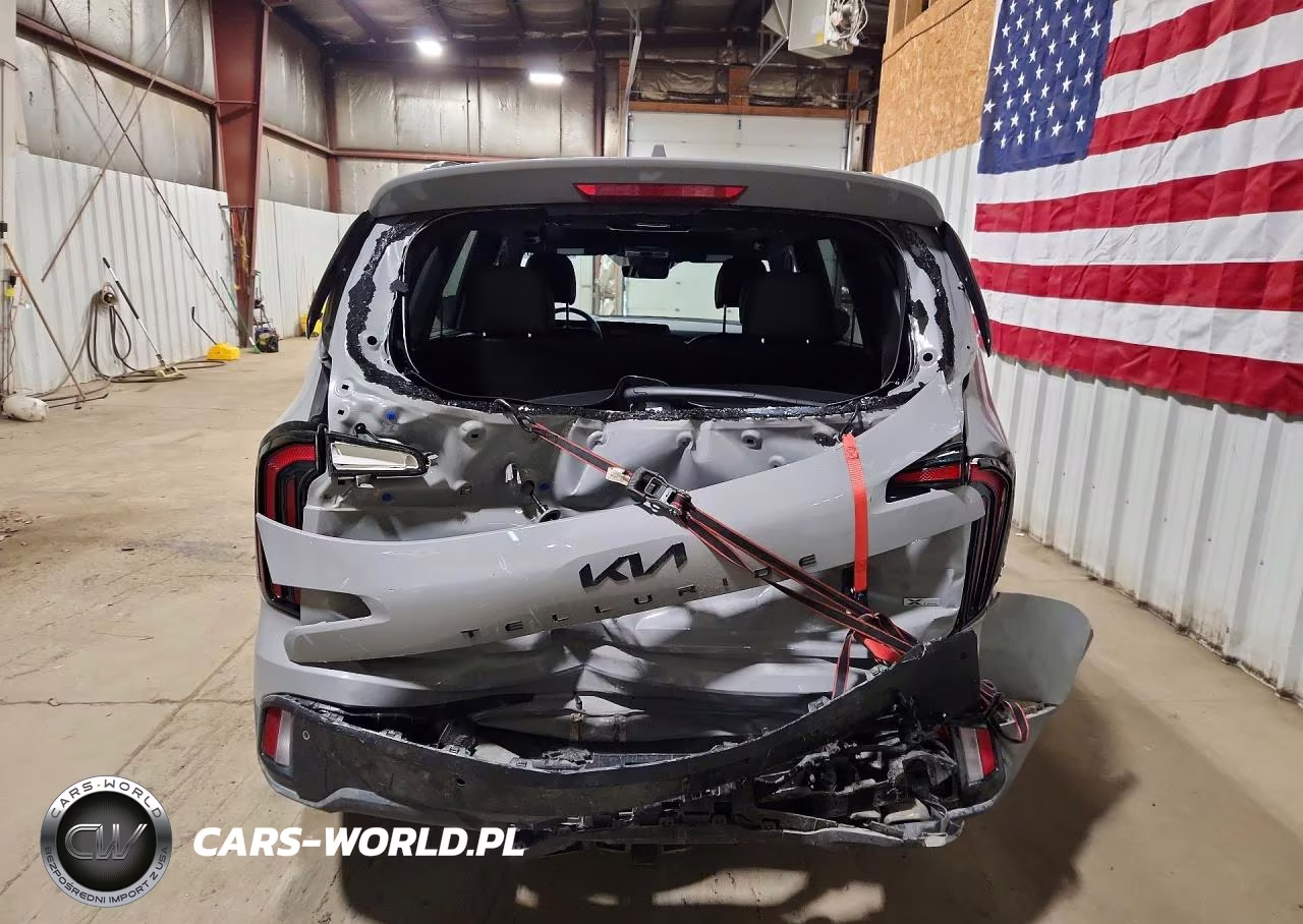 2025 Kia Telluride Sx X-Line VIN:5XYP5DGC5SG732208 - 6