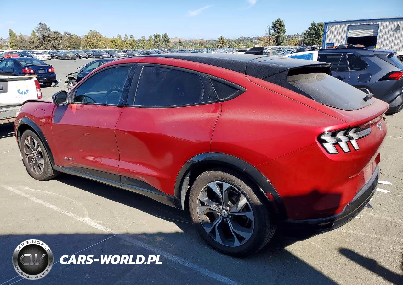 2021 Ford Mustang Mach-E Premium VIN:3FMTK3RM4MMA59954 - 2
