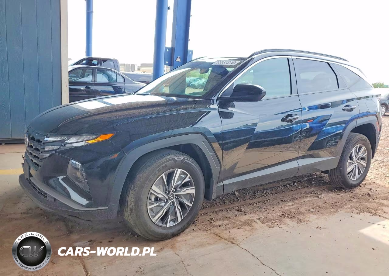 2024 Hyundai Tucson Blue VIN:KM8JBCD13RU204800 - 1