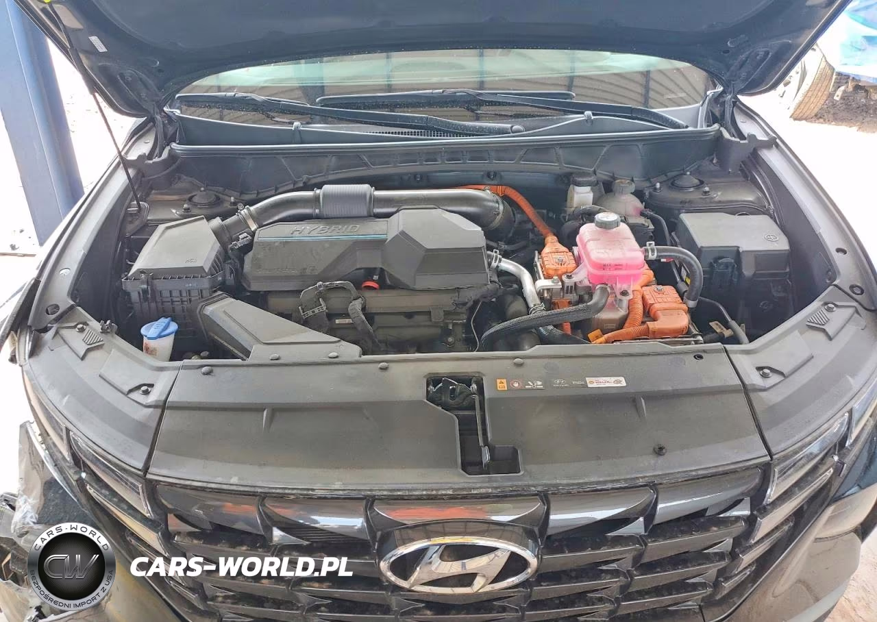 2024 Hyundai Tucson Blue VIN:KM8JBCD13RU204800 - 12