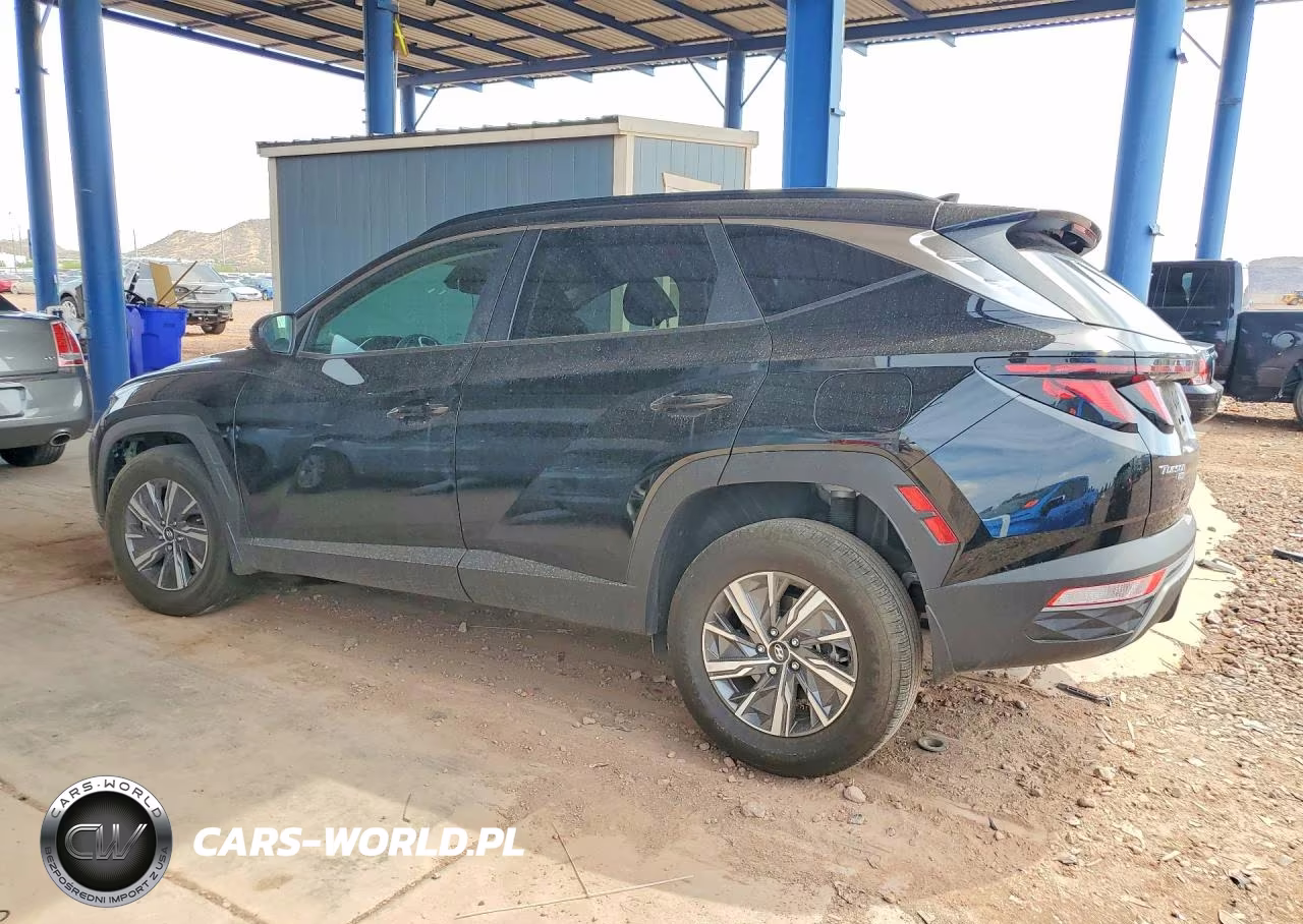 2024 Hyundai Tucson Blue VIN:KM8JBCD13RU204800 - 2