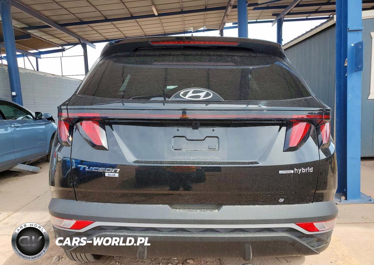 2024 Hyundai Tucson Blue VIN:KM8JBCD13RU204800 - 6