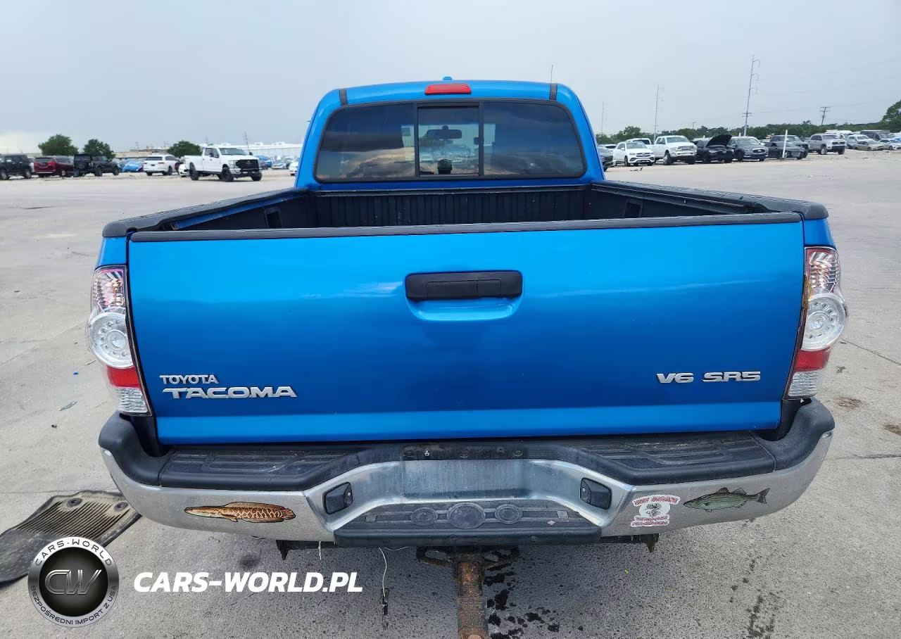 2010 Toyota Tacoma V6 VIN:5TEUU4EN9AZ734574 - 6
