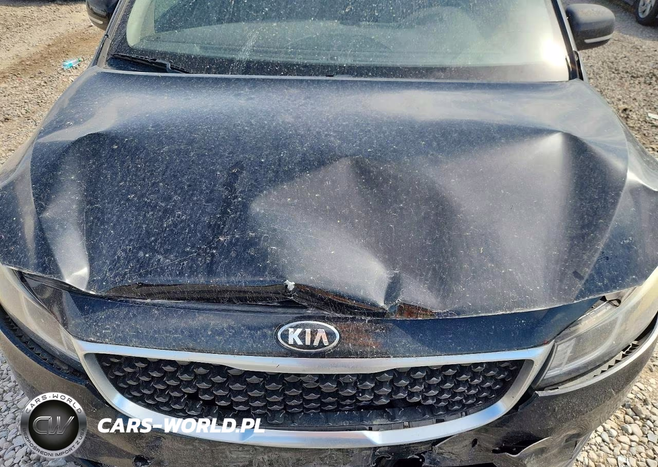2015 Kia Sedona Sx VIN:KNDMC5C13F6031890 - 11