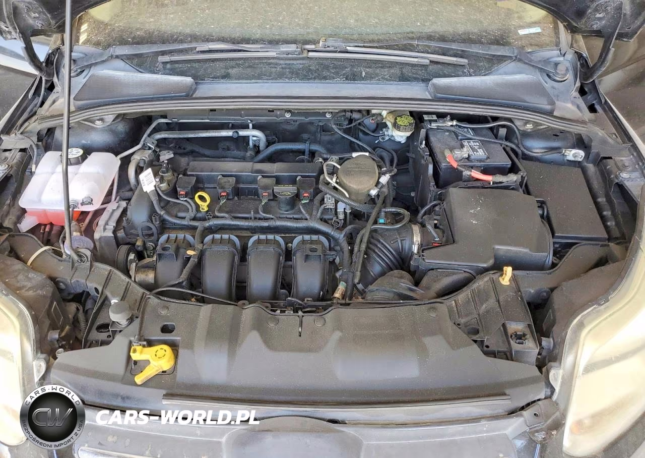 FORD FOCUS VIN:1FADP3K26EL163289 - 11