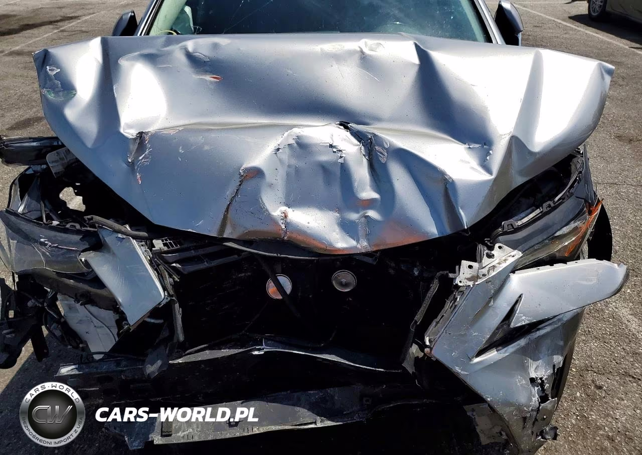2019 Lexus Nx 300 Base VIN:JTJYARBZ8K2138616 - 12