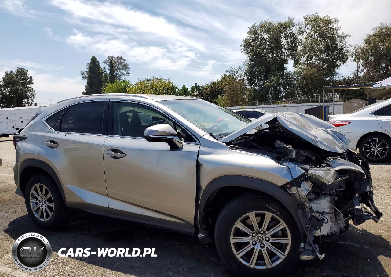 2019 Lexus Nx 300 Base VIN:JTJYARBZ8K2138616 - 4