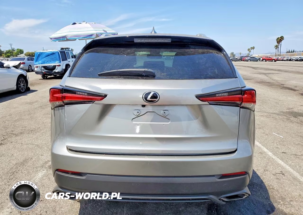 2019 Lexus Nx 300 Base VIN:JTJYARBZ8K2138616 - 6
