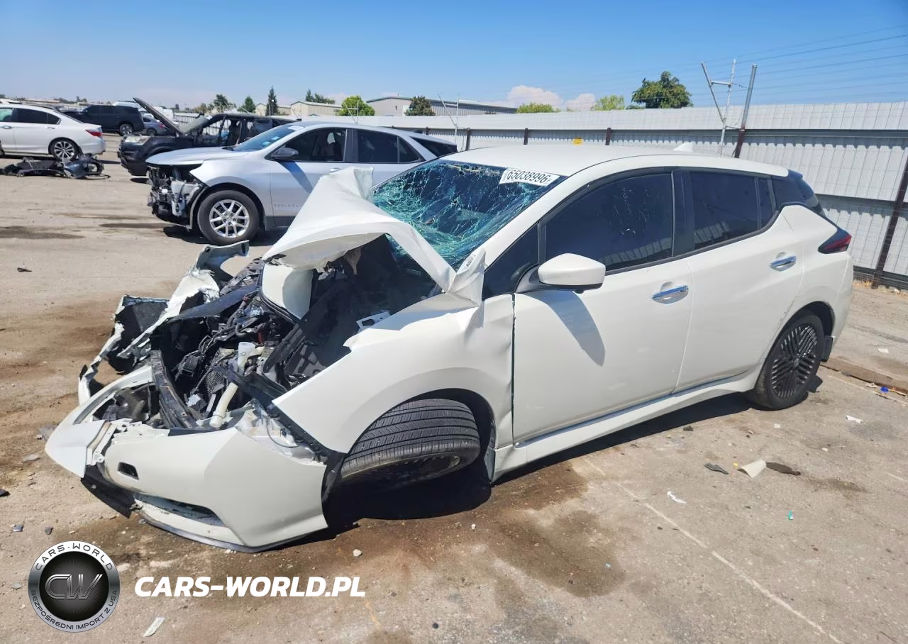 2025 Nissan Leaf Sv Plus VIN:1N4CZ1CV1SC550590 - 1