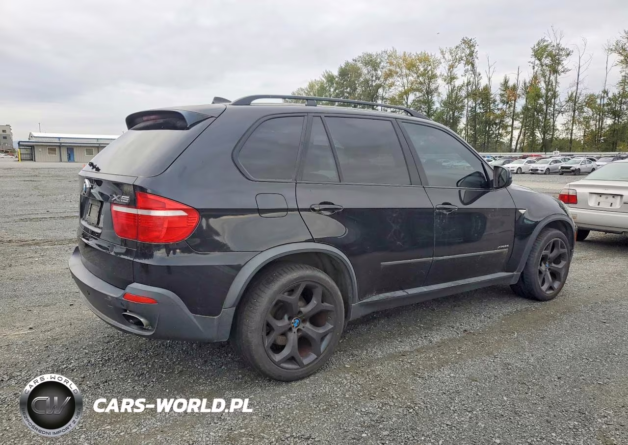 2009 BMW X5 xDrive48I VIN:5UXFE835X9L310295 - 3