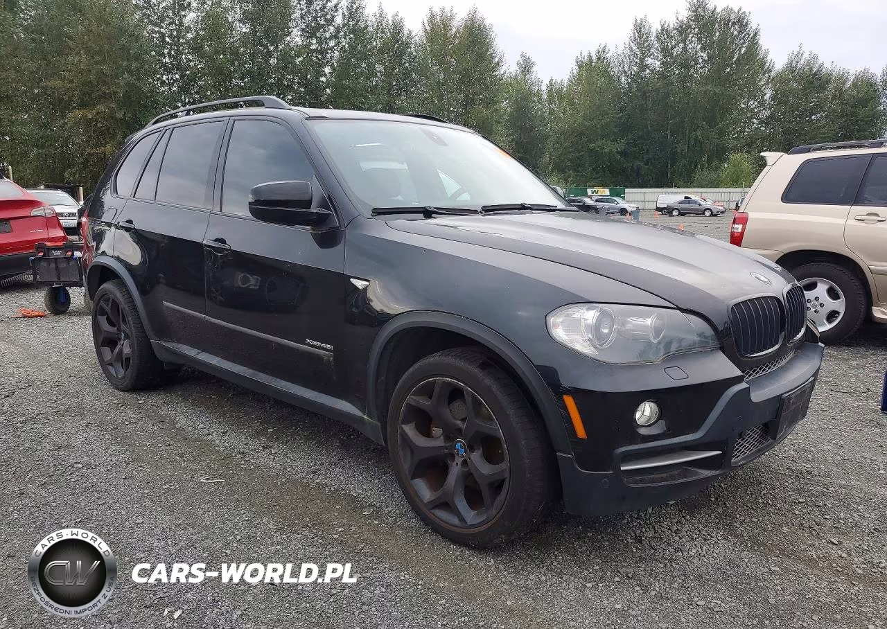 2009 BMW X5 xDrive48I VIN:5UXFE835X9L310295 - 4