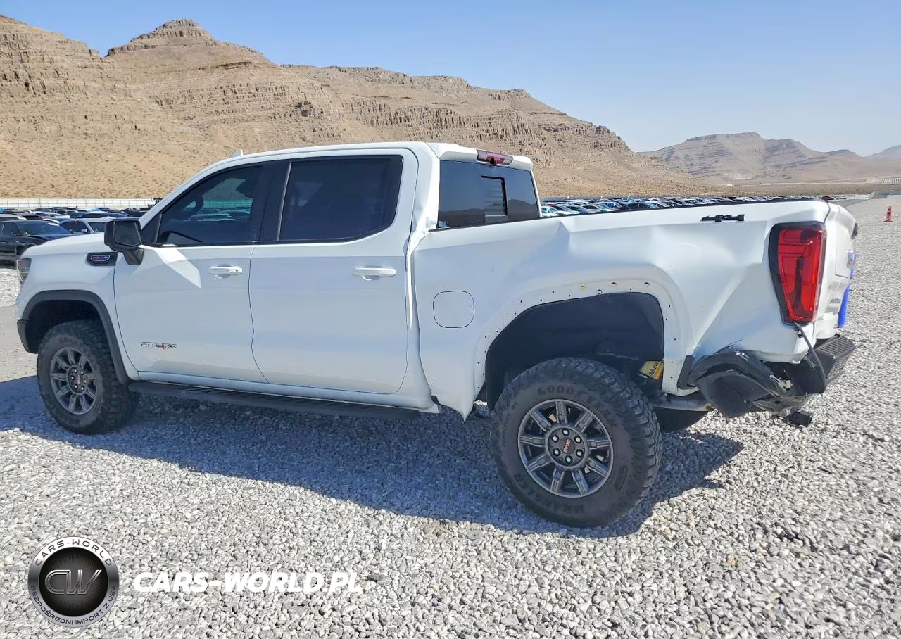 2025 GMC Sierra K1500 At4X VIN:3GTUUFEL3SG165051 - 2
