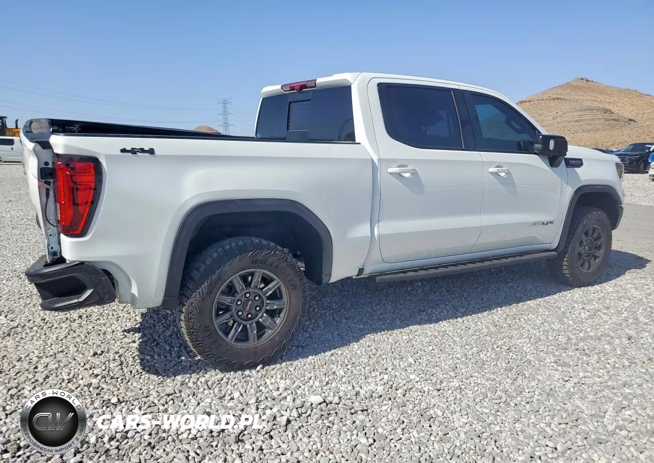 2025 GMC Sierra K1500 At4X VIN:3GTUUFEL3SG165051 - 3