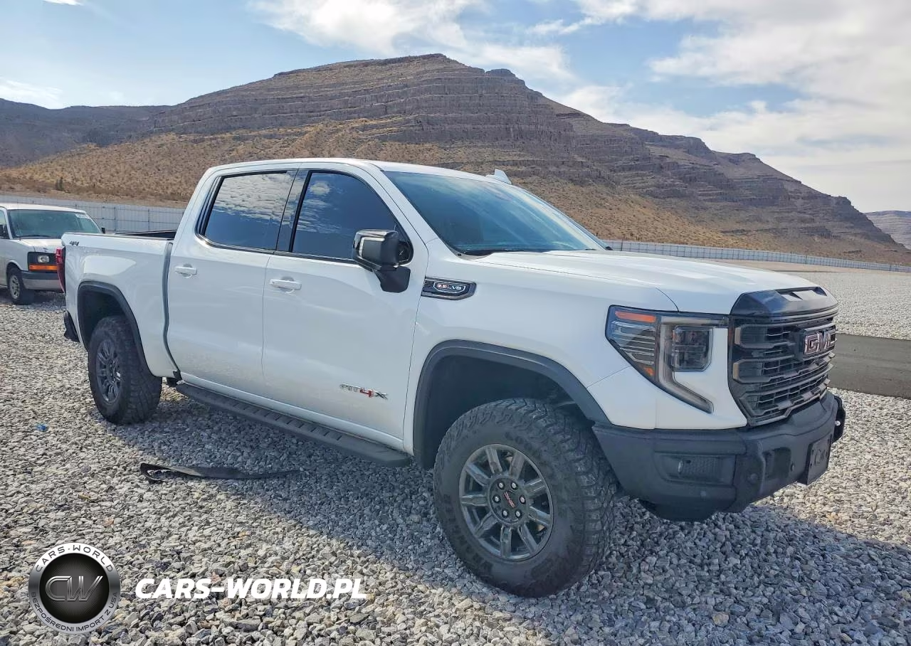 2025 GMC Sierra K1500 At4X VIN:3GTUUFEL3SG165051 - 4