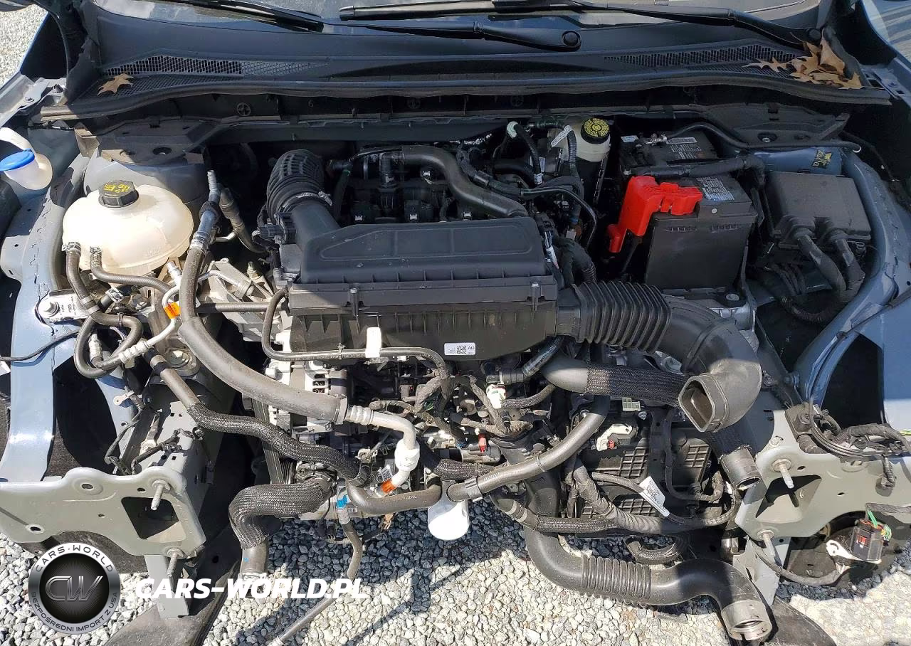 2024 Ford Escape St Line VIN:1FMCU0MNXRUB51906 - 12