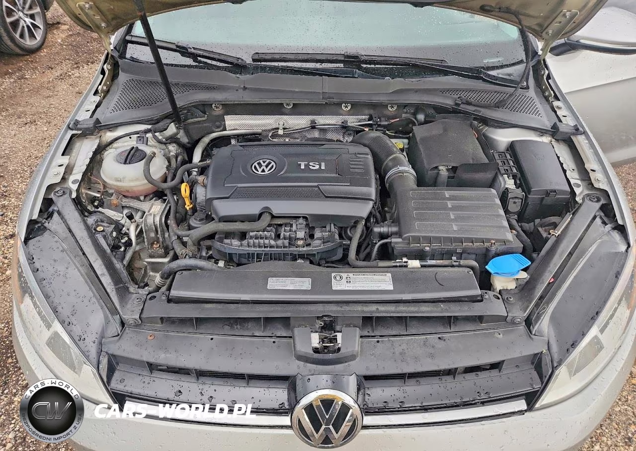 2016 Volkswagen Golf Sportwagen S VIN:3VWC17AU4GM516242 - 11