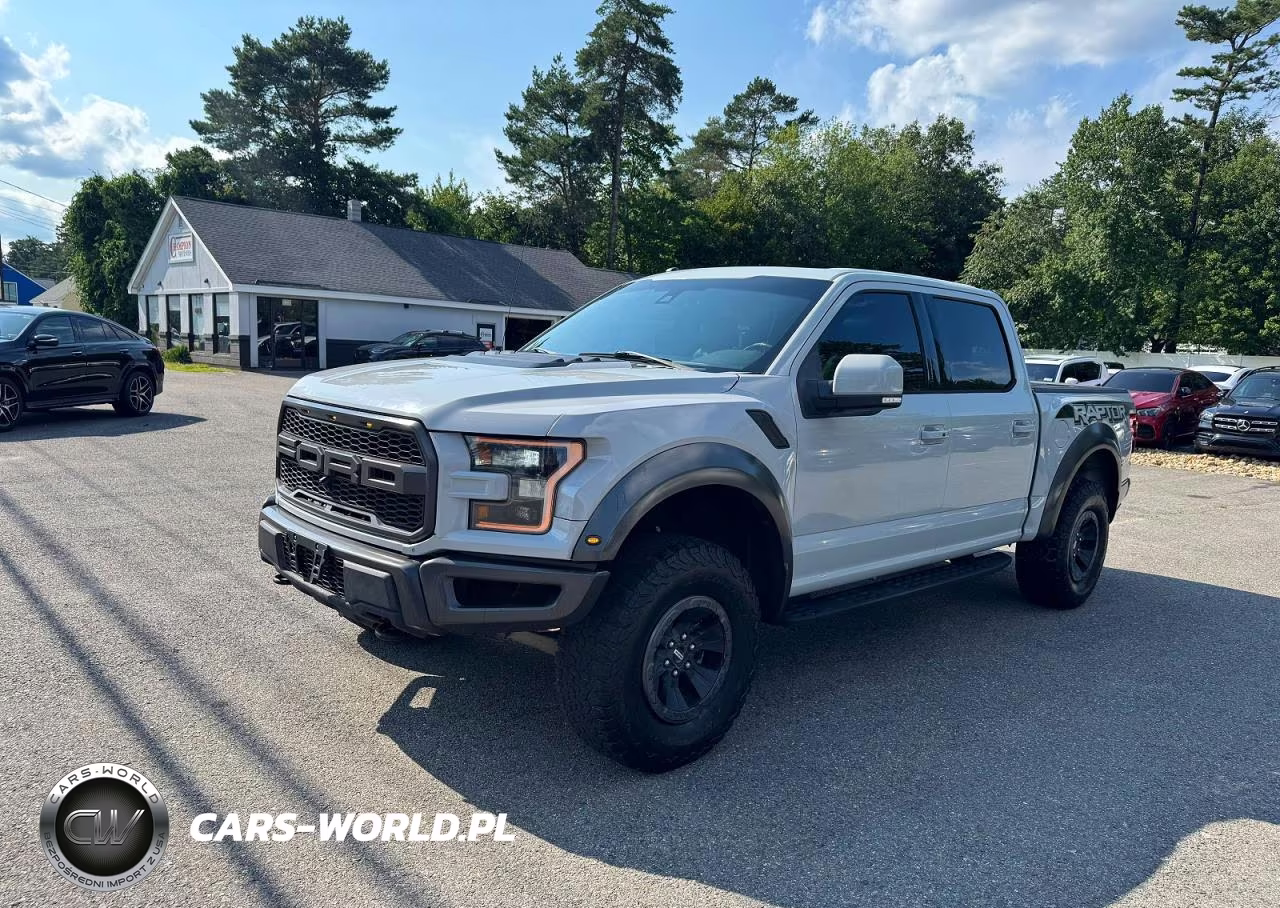 2017 Ford F150 Raptor VIN:1FTFW1RGXHFA93956 - 2