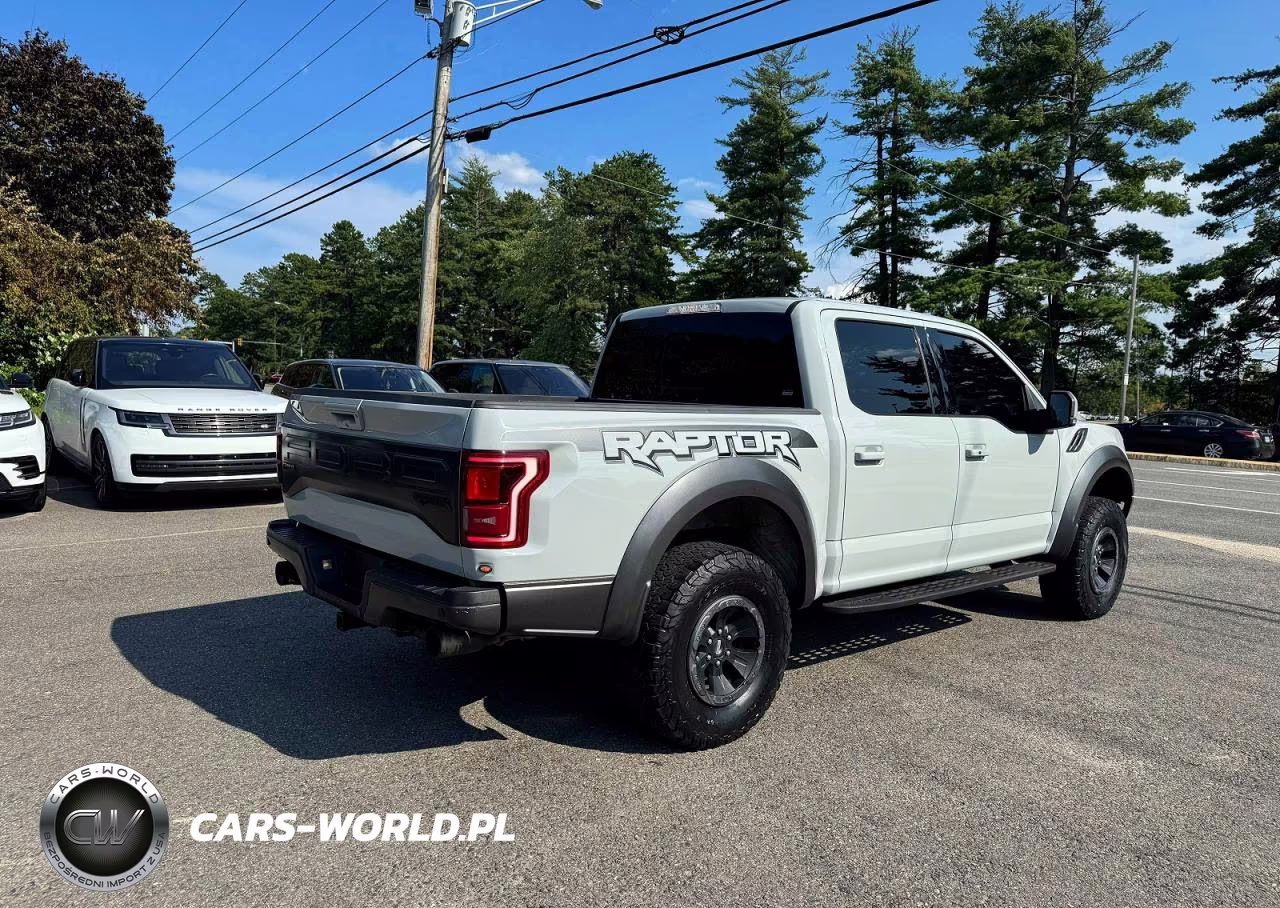 2017 Ford F150 Raptor VIN:1FTFW1RGXHFA93956 - 3