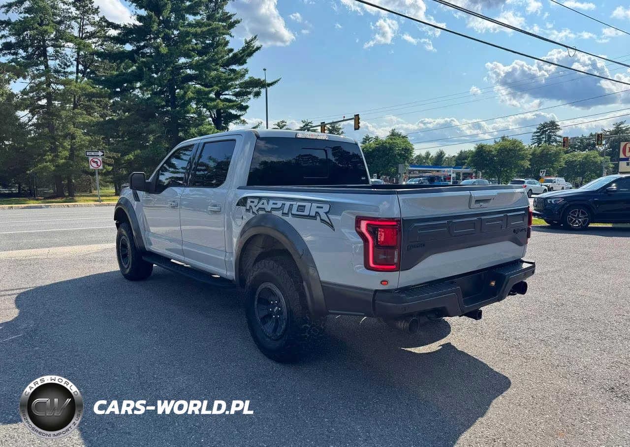 2017 Ford F150 Raptor VIN:1FTFW1RGXHFA93956 - 4