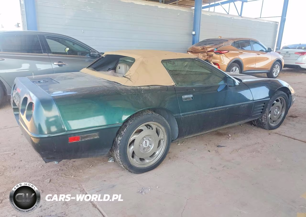1992 Chevrolet Corvette VIN:1G1YY33P8N5110352 - 3