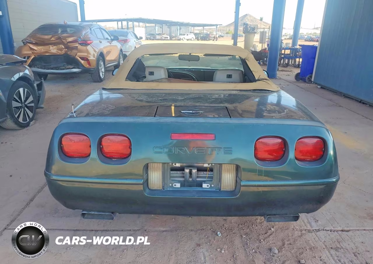 1992 Chevrolet Corvette VIN:1G1YY33P8N5110352 - 6