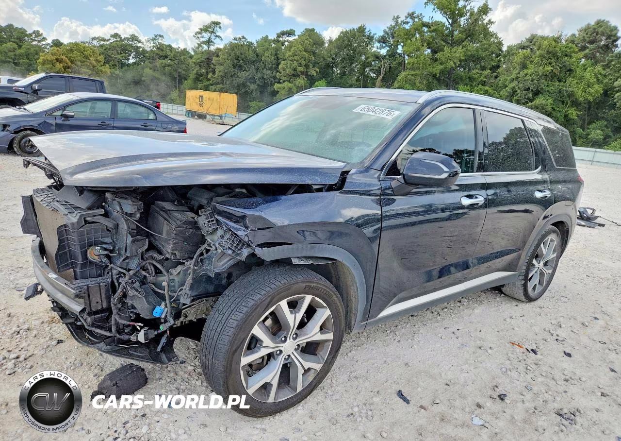 2020 Hyundai Palisade Sel VIN:KM8R34HEXLU173118 - 1