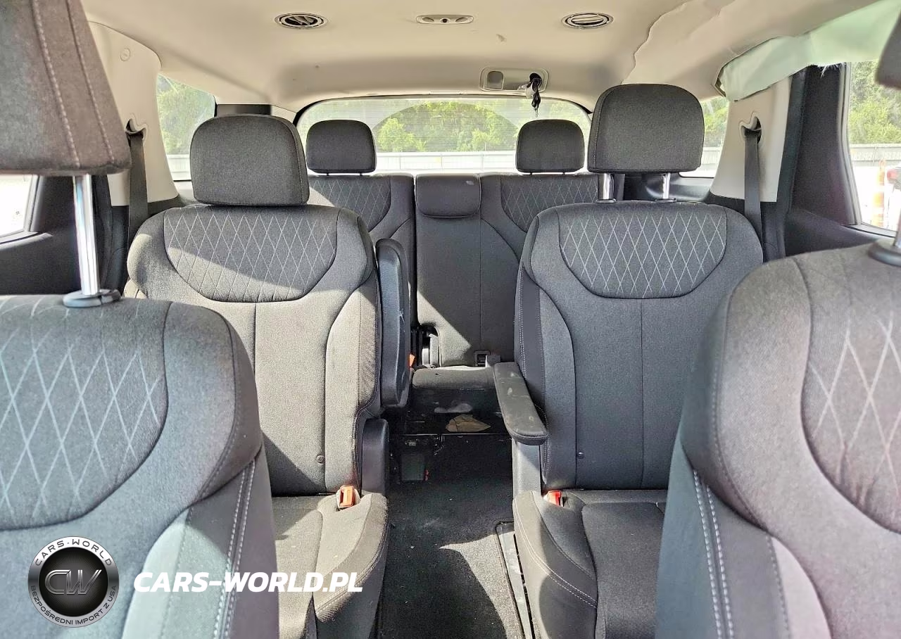 2020 Hyundai Palisade Sel VIN:KM8R34HEXLU173118 - 10