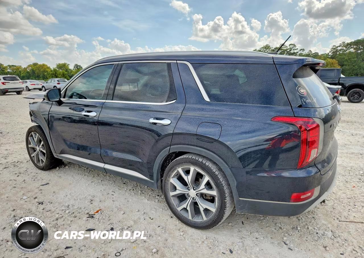 2020 Hyundai Palisade Sel VIN:KM8R34HEXLU173118 - 2