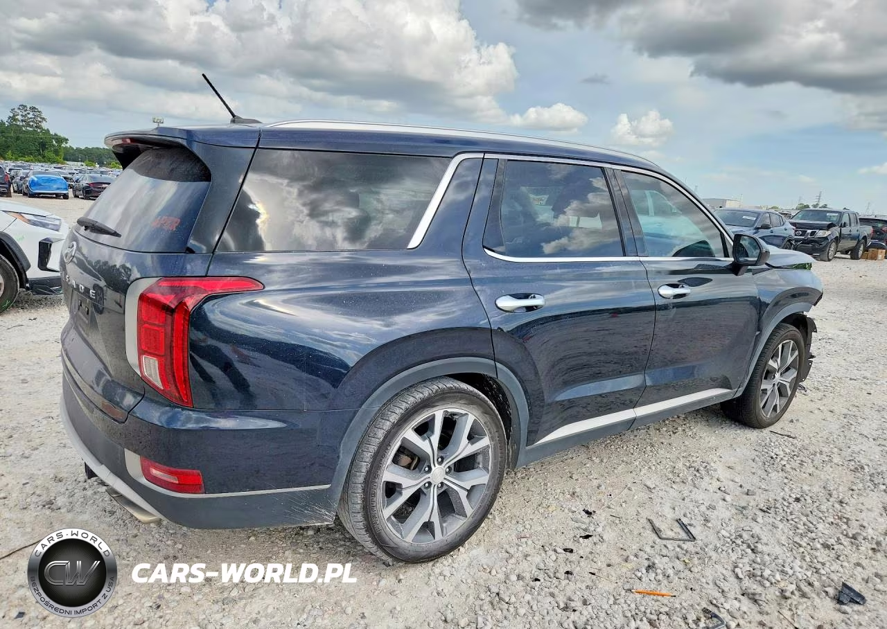 2020 Hyundai Palisade Sel VIN:KM8R34HEXLU173118 - 3