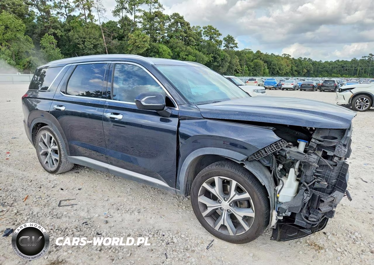 2020 Hyundai Palisade Sel VIN:KM8R34HEXLU173118 - 4