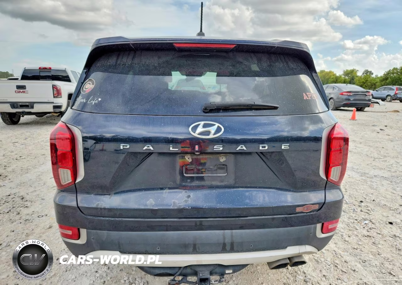 2020 Hyundai Palisade Sel VIN:KM8R34HEXLU173118 - 6
