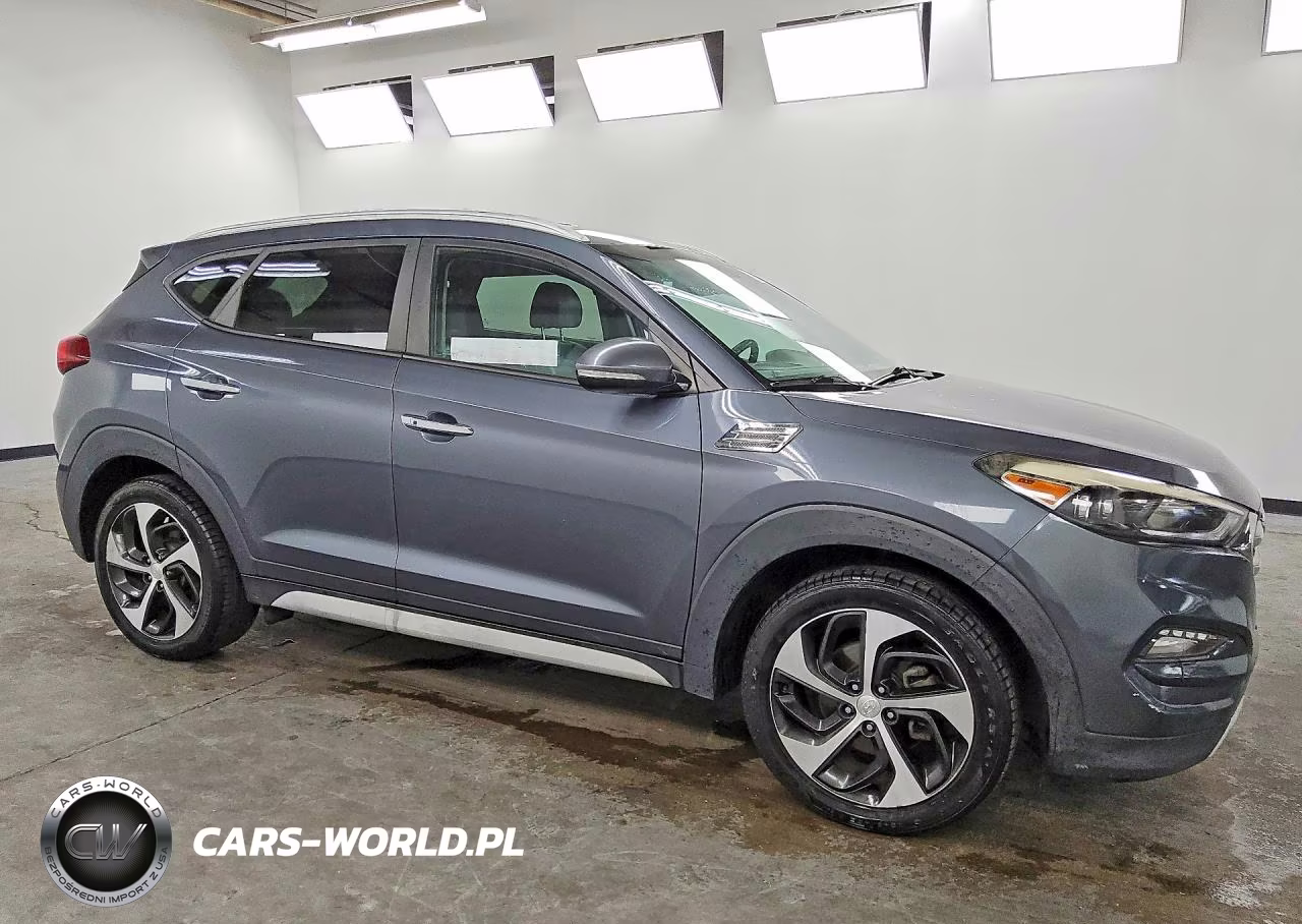 2017 Hyundai Tucson Limited VIN:KM8J3CA26HU380717 - 4