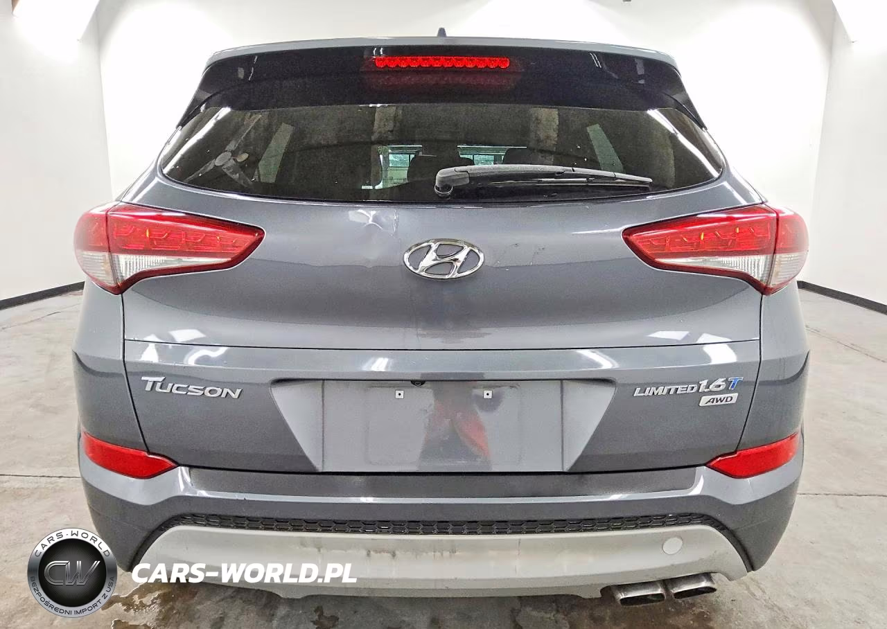 2017 Hyundai Tucson Limited VIN:KM8J3CA26HU380717 - 6