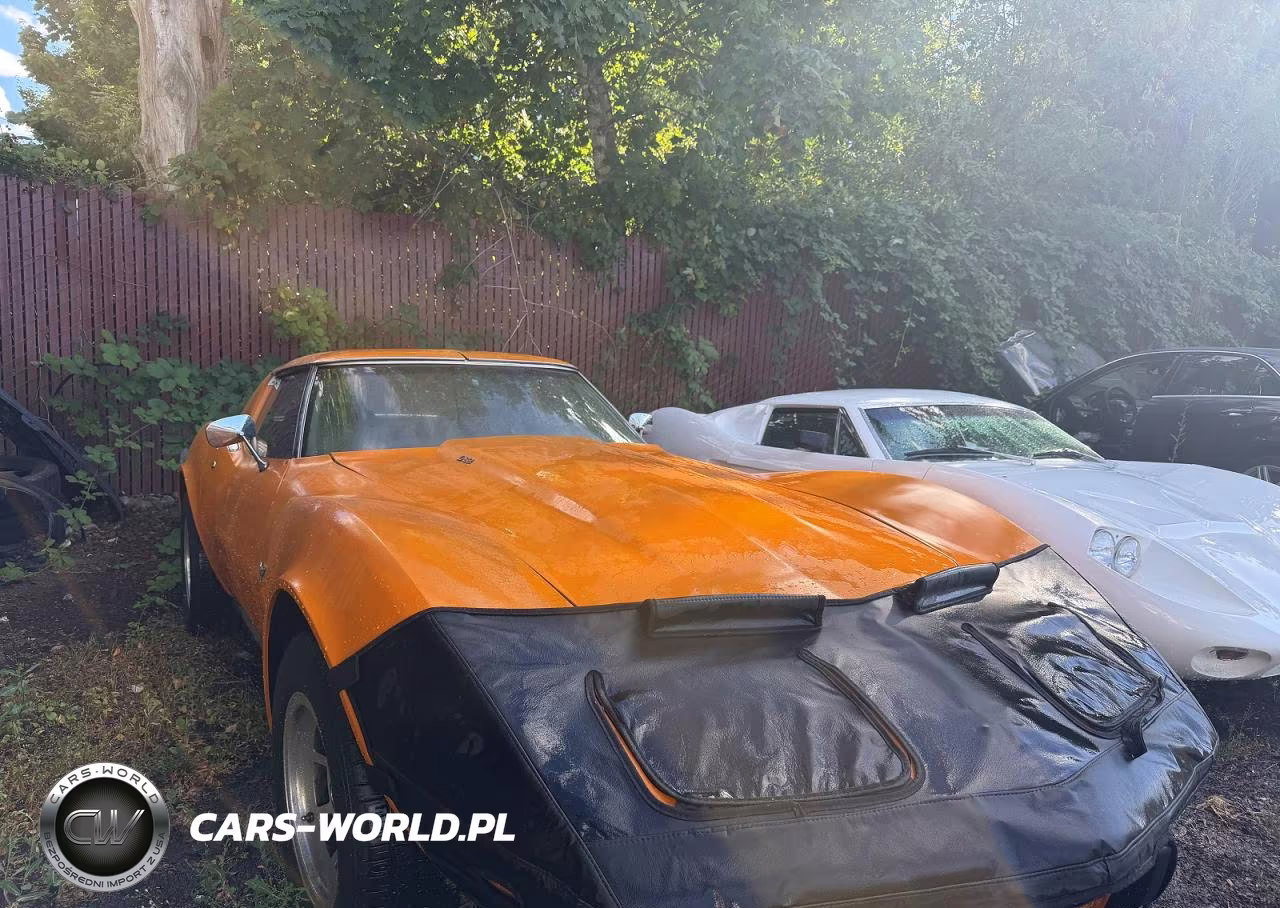 1977 Chevrolet Corvette – zdjęcie 1 z 10