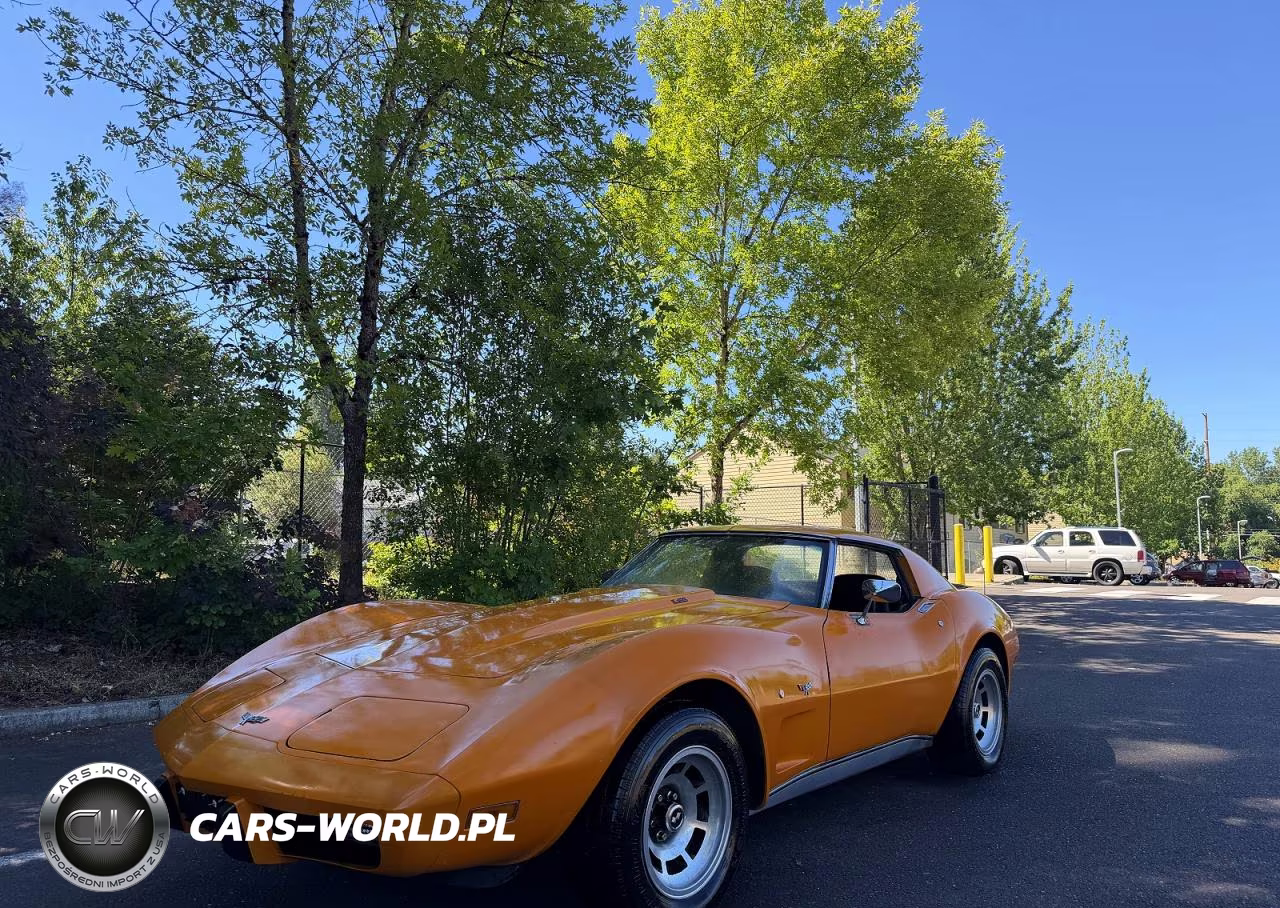 1977 Chevrolet Corvette VIN:1Z37L7S410519 - 2