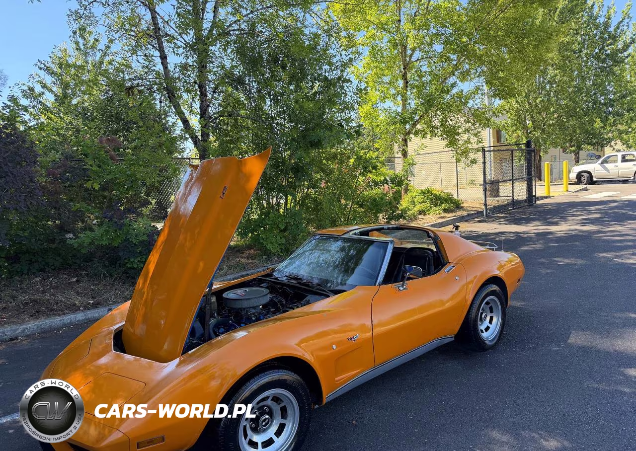 1977 Chevrolet Corvette VIN:1Z37L7S410519 - 9
