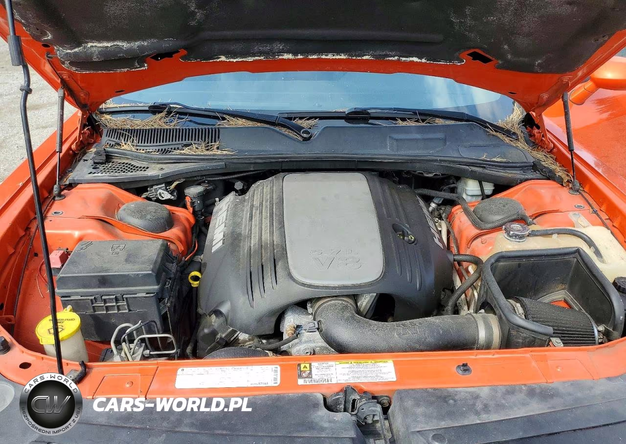 2009 Dodge Challenger R-T VIN:2B3LJ54T79H558255 - 11