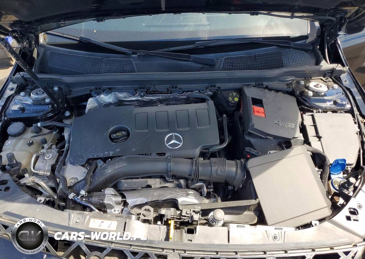 2021 Mercedes-Benz Cla 250 VIN:W1K5J4GB1MN189919 - 11