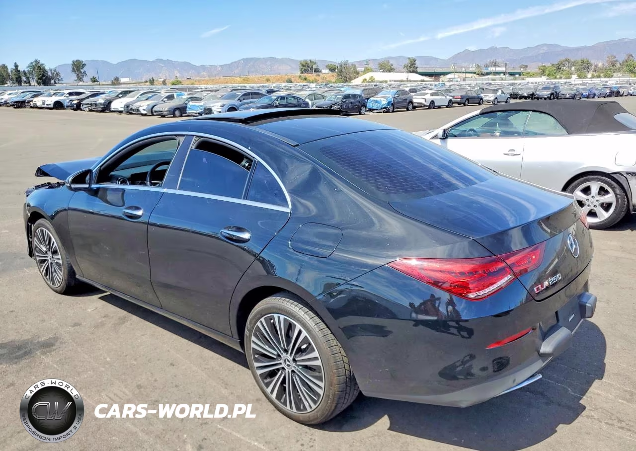 2021 Mercedes-Benz Cla 250 VIN:W1K5J4GB1MN189919 - 2