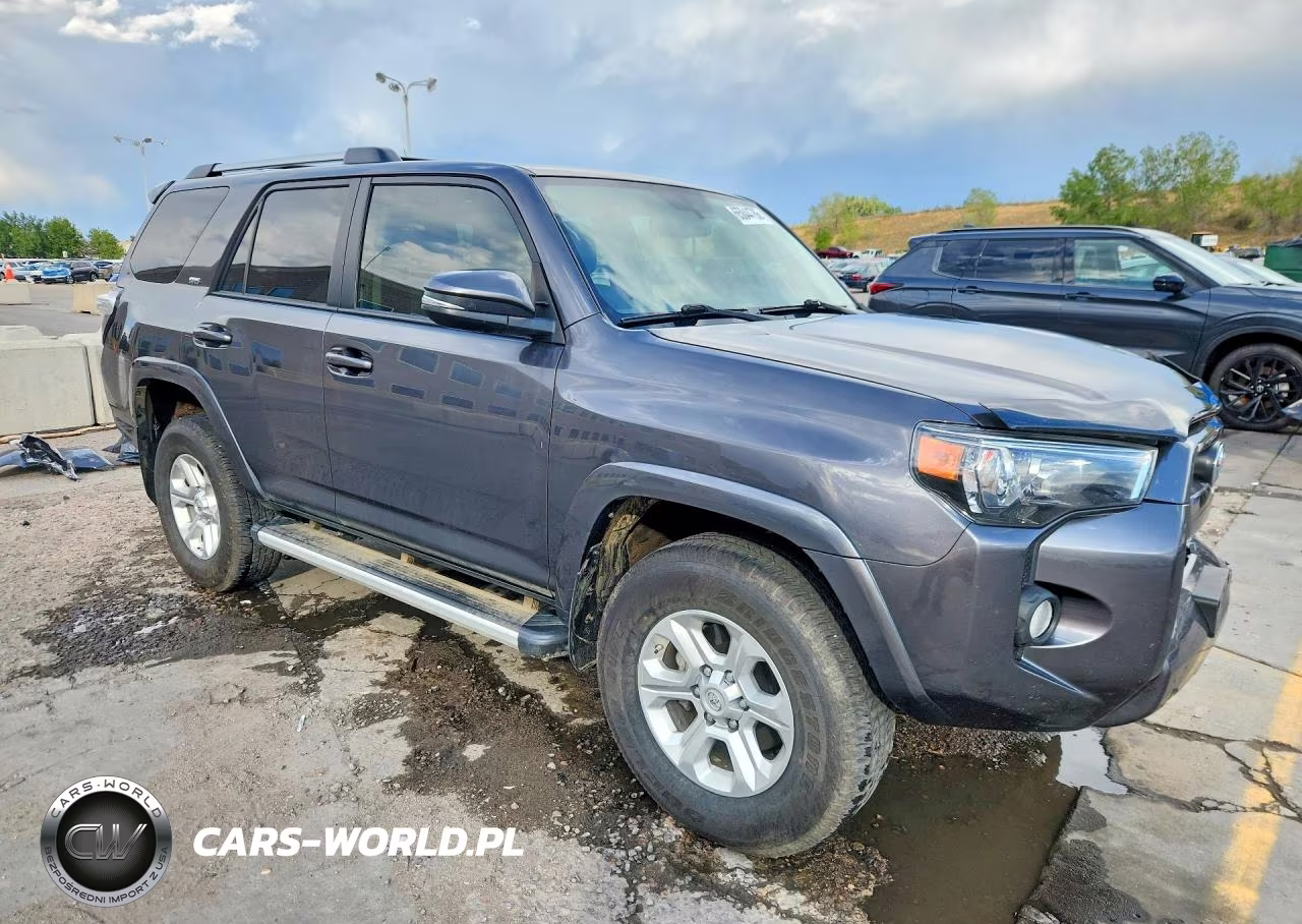 2019 Toyota 4Runner Sr5 Premium VIN:JTEBU5JR4K5731488 - 4