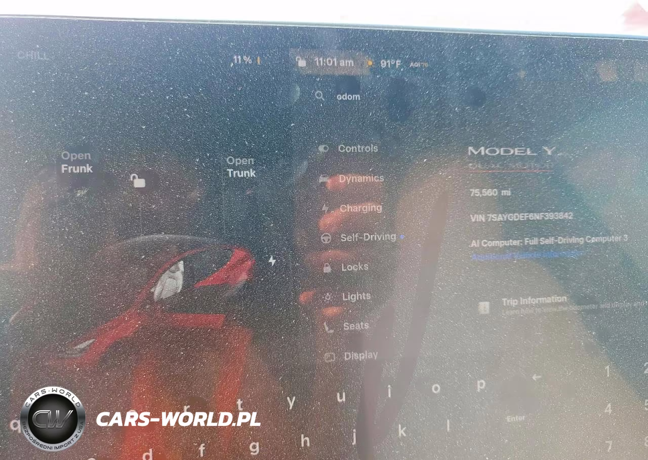 2022 Tesla Model Y VIN:7SAYGDEF6NF393842 - 9