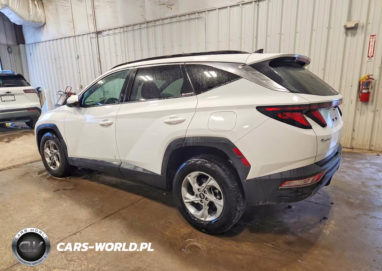 2024 Hyundai Tucson Sel VIN:5NMJBCDE7RH383048 - 2