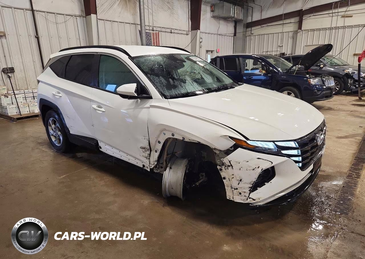 2024 Hyundai Tucson Sel VIN:5NMJBCDE7RH383048 - 4